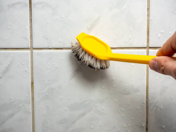 Best Affordable Mold Removal  in Nth Plains, OR