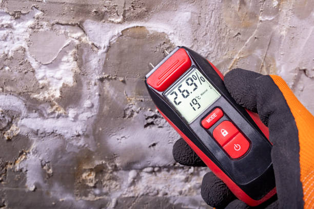 Best Emergency Mold Removal  in Nth Plains, OR