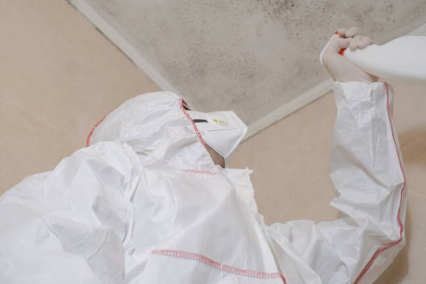 Mold Removal and Inspection in North Plains, OR